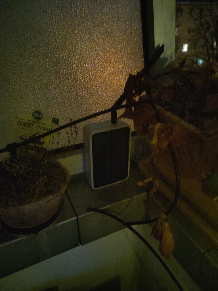 IMG_20260207_181829.jpg IMG_20260207_181829.jpg